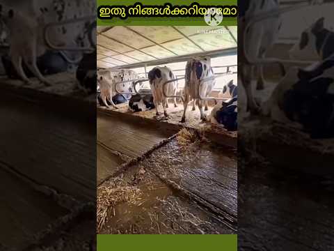 ഇതു നിങ്ങൾക്കറിയാമോ 😳😳#facts#shortvideos#shortsfeed #subscribe#viralshort#kerala #india #viralshort