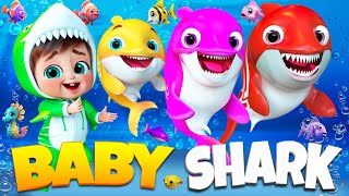 Baby Shark's  Dance Song - Baby songs -Nursery Rhymes & Kids #BabyShark #kids #viral #kpop  #shorts
