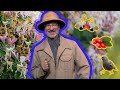 Invasive Species and Native Ecosystems