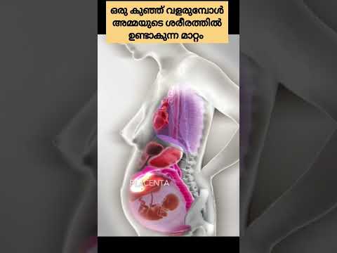ഒരു കുഞ്ഞ് വളരുമ്പോൾ അമ്മയുടെ ശരീരത്തിൽ ഉണ്ടാകുന്ന മാറ്റം💯#shorts #pregnancy #malayalam #trending