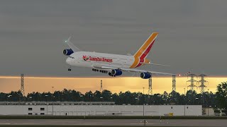 Pilot Got Fired Immediately After This Landing
