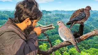 Prey & Predator | Chasing Wild Dove with Slingshot❗️
