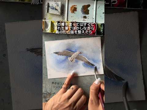 水彩絵の具でカモメを描くには　#tips #watercolor #イラスト #watercolortips #アート #描き方 #水彩メイキング #透明水彩 #イラストメイキング