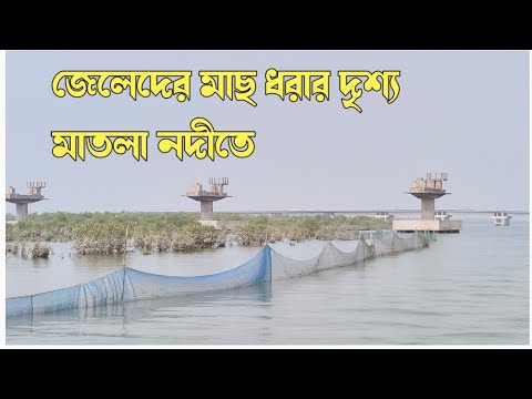 মাতলা নদীতে যেভাবে জেলেরা মাছ ধরে