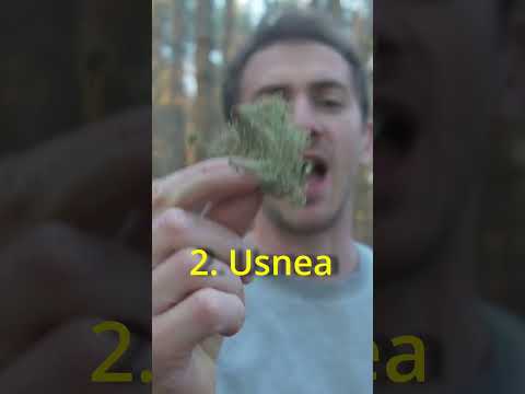 3 Survival Band-Aids in the Woods!