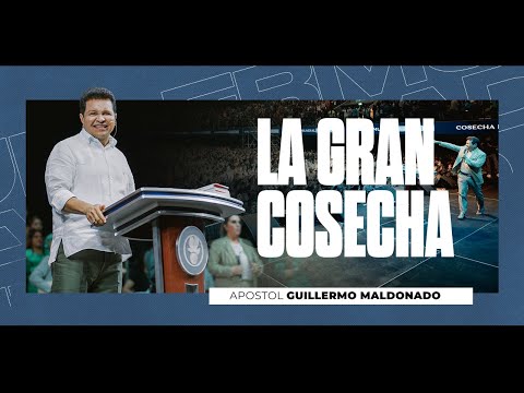 La Gran Cosecha del Tiempo Final Serie  |  Guillermo Maldonado