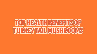 Top Health Benefits of Turkey Tail Mushrooms