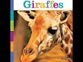 Exploring Nonfiction Text Features in Giraffes