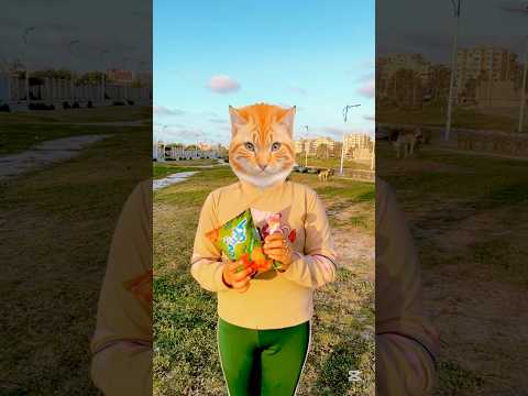 القطه  الجميله بتوزع هدايا 🎁