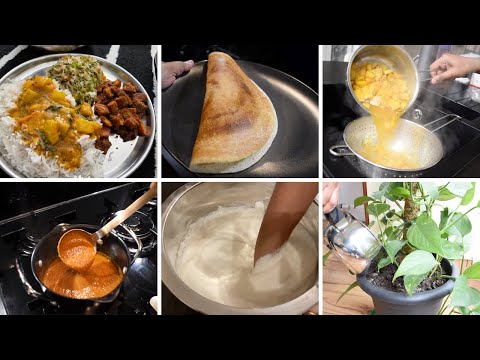 லஞ்ச் ரொடீன் வ்லாக் || A day in my life|| Simple and tasty lunch recipe