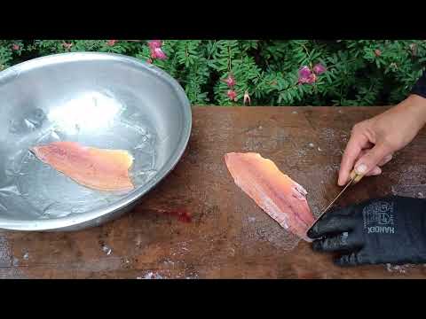 Como TIRAR FILÉ DE QUALQUER PEIXE 100% livre de espinhas!