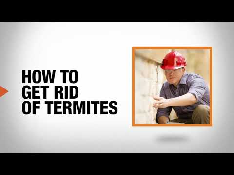 Termite Killing Coloni Eliminate Control Solutions DIY Termite Bait System 