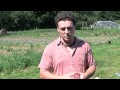 Soil Health and Testing Concepts