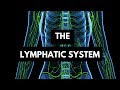 Understanding the Lymphatic System