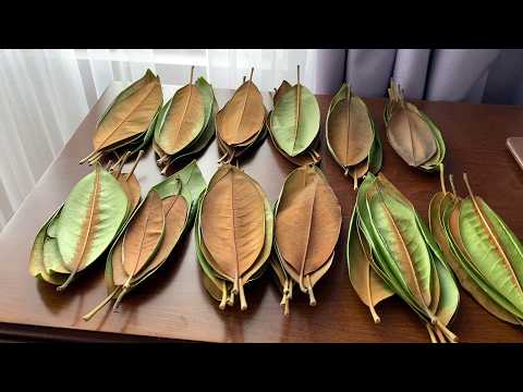 🍃How to Upcycle a Mirror with Natural Leaves: DIY Wall Art Tutorial