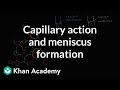 Understanding Meniscus and Capillary Action