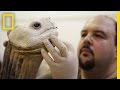 Extinction and Conservation of Species