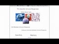 Immune Response Mechanisms and Functions