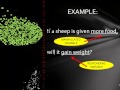 Scientific Method Concepts