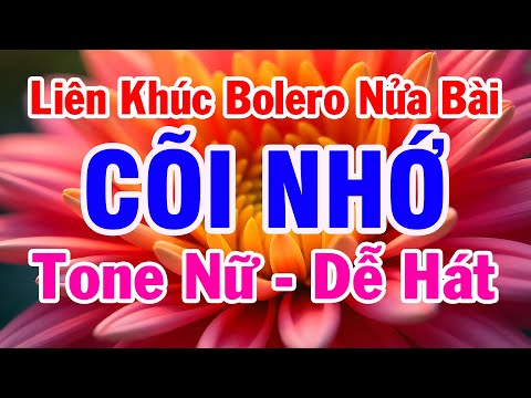Karaoke Bolero Chọn Lọc – LK Karaoke Nhạc Sống Trữ Tình Tone Nữ | Cõi Nhớ – Đừng Nói Xa Nhau