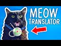 Cat Gadgets and Their Features