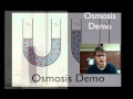Osmosis and Its Demonstration