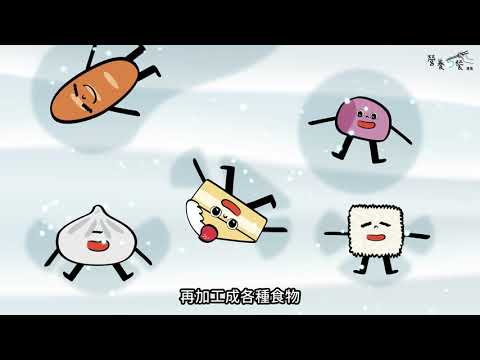 營養5餐-六大類食物/澱粉家族篇 - YouTube