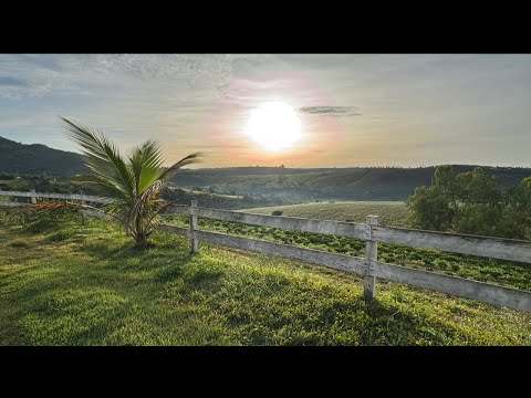 O Paraíso Escondido de Minas: Serra da Canastra em 3 Dias!