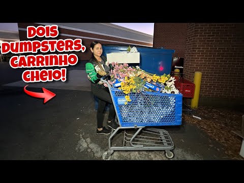 DOIS DUMPSTER, CARRINHO CHEIO DE COISAS NOVAS!🇺🇸
