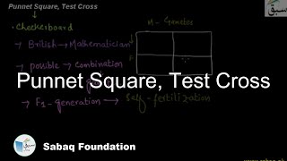 Punnet Square, Test Cross