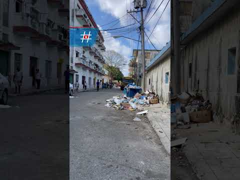 ¿Ya no hay Dengue ni Oropuche? Así están los alrededores del Hospital Pediátrico de Centro Habana