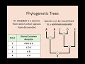 Genomic Concepts and Applications