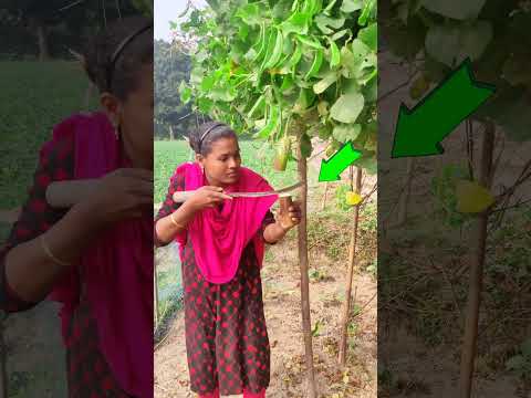 #reels #funny #viralvideo #shorts