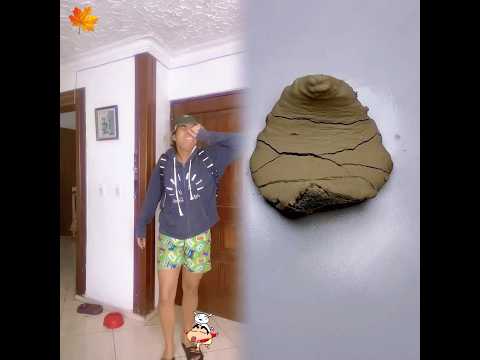 He was just defending himself 🥹🤣 #humor #school #teacher #viral #latino