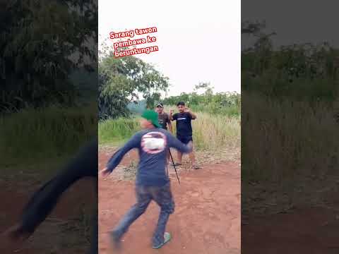 Sarang tawon bikin untung #shortviral #comedy #ngakak #yonanbarakatak
