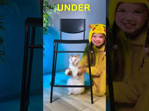 On, Under, Behind || Kids Learn Prepositions! 📚