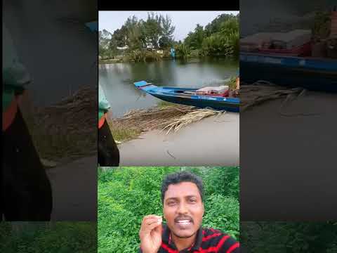 Boat transfer #interestingclips #comedyfilms #comedymove #comedymovies #funny #duet