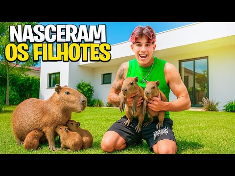 A MINHA CAPIVARA TEVE FILHOTES *adotei?