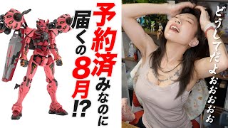 予約したガンプラが5月発売なのに8月到着！？DMMでやらかした失敗談