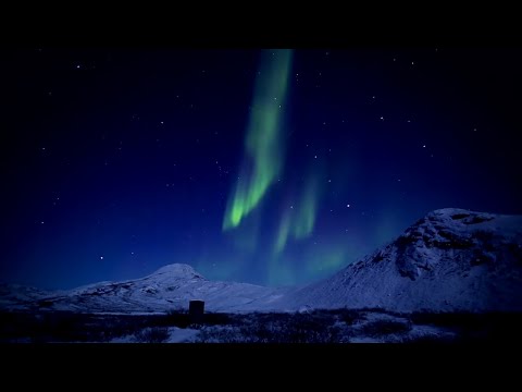 The Big Arctic Five