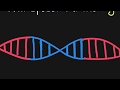 Transposons: Mechanisms and Functions