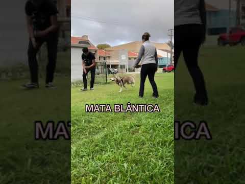 A PARTE FAVORITA DA MINHA CASA NOVA | #Shorts