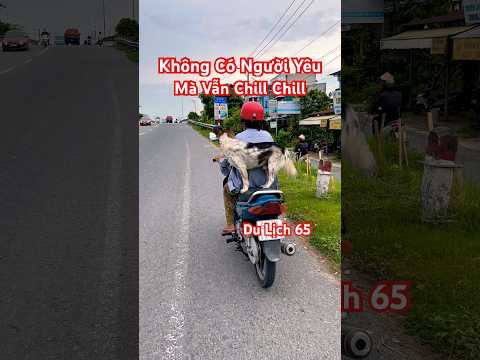 Không có người yêu mà vẫn chill chill #dulich65