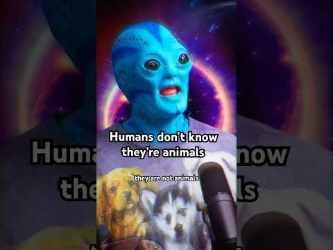 Hey humans did you forget that you’re just hairless apes and everything you built isn’t real!?