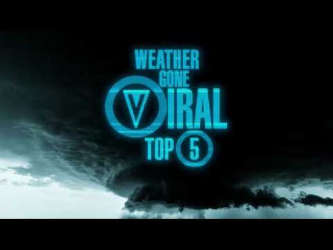 Must-See Weather Videos Going Viral Today: November 19, 2024