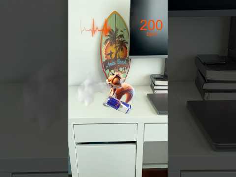 Scrappy & Energy Drinks #squirrel #comedy