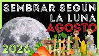 Calendario Lunar para SIEMBRA y JARDINERÍA en AGOSTO 🌱🌿 Como Sembrar con la luna en AGOSTO