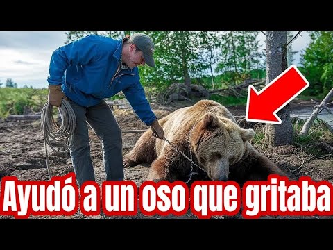 Oso llorando le pide ayuda a un hombre! #historiasreales #historiasdeanimales #viralvideo