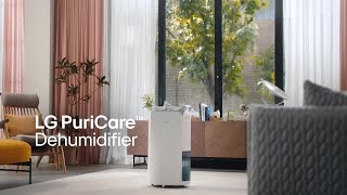 LG PuriCare : Powerful Dehumidification Performance | LG​