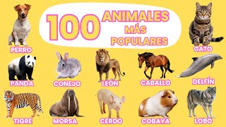 100 Animales más Populares en el Mundo 🌎| Video para niños | ¡Aprende Nombres de Animales!